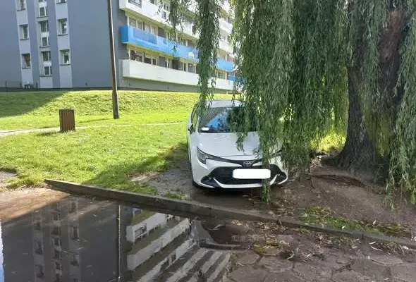 Katowice: 425 wykroczeń drogowych w tydzień. Straż Miejska podsumowuje akcję „Wyzwanie – Parkowanie!”