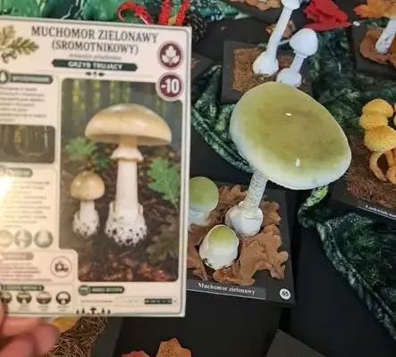 Uczniowie z Katowic uczyli się bezpiecznie zbierać grzyby
